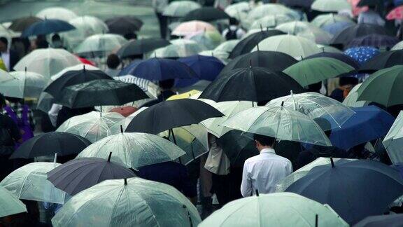 一个日本商人在雨天早上带着伞去上班