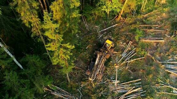 伐木机运送砍伐好的木材