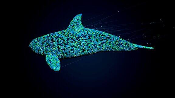 用3d粒子创造鲸鱼