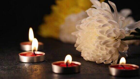 点燃的蜡烛和美丽的菊花