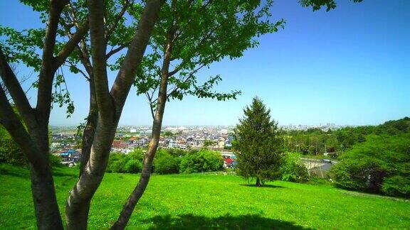 从山上的春天公园看住宅区山上有美丽的新绿