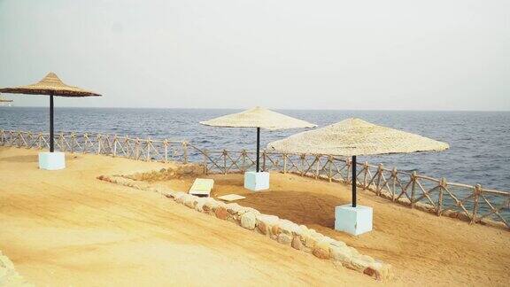 埃及空旷的阳光海滩与雨伞太阳床在红海