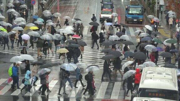 从日本东京的涩谷路口俯瞰