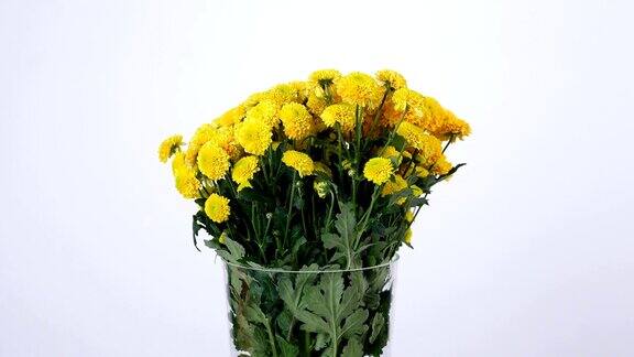 花束、花束、旋转上白色背景花卉成分由黄菊santini组成