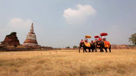 泰国大城府旅游团骑着大象和佛塔