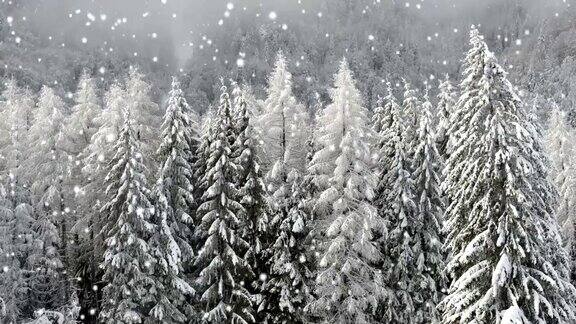 冬日仙境圣诞雪的背景