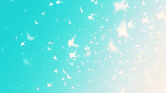 白色的鸟飞过蓝天