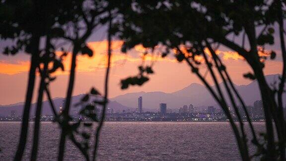 日落时分透过树木拍摄沿海城市景观