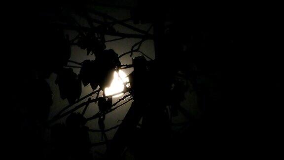 月亮的夜空