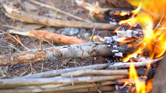 在山上露营时用火焰烧柴做饭
