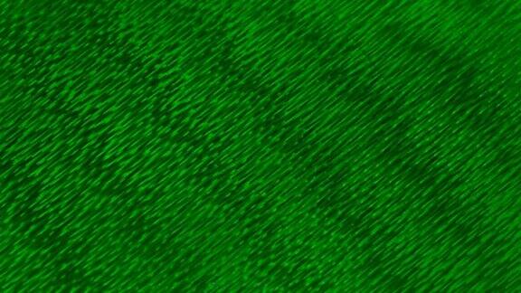 抽象的绿色发光粒子运动