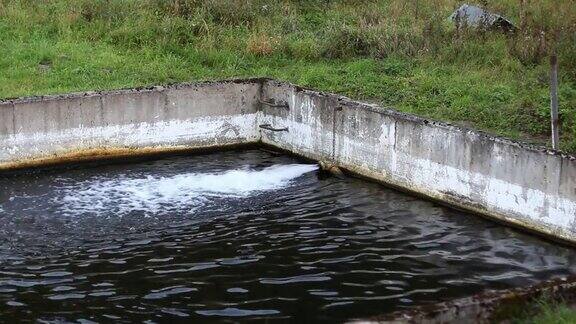 鱼塘中管道流出的水给水充氧