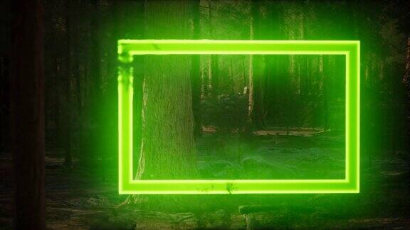 霓虹灯闪烁的矩形框架在夜间森林