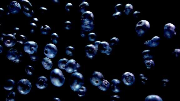 多汁的蓝莓在黑色的背景上飞舞