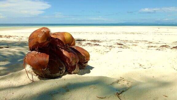 摄影:大安斯椰子普拉林岛塞舌尔