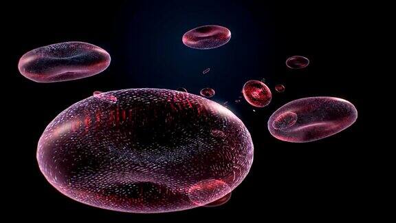 漂浮血细胞3D4k动画1