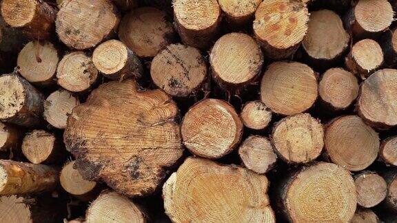 砍伐森林木材工业原木堆