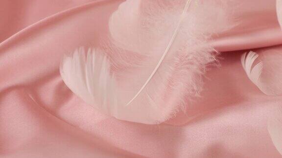 白色的天鹅羽毛在柔和的粉红色丝绸
