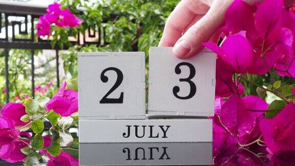 摆放着木槿花的桌子上摆放着写有7月23日重要事件的木制日历一个女人的手在日历上写着日期将日历翻到一个立方万年历夏月