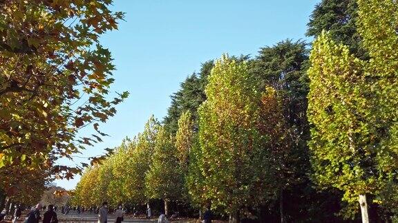 东京新宿公园的秋景