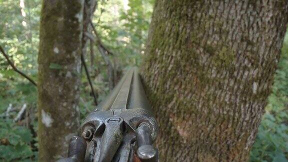 爱沙尼亚树旁的黑色步枪