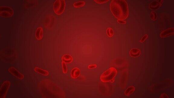 血液循环系统中的红细胞
