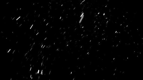 大朵的雪花在夜晚的风中旋转映衬着黑色的背景