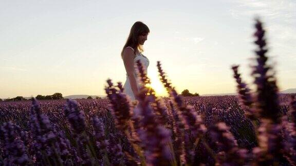 慢镜头:在夏日金色的夕阳下一个身穿白色连衣裙的快乐的年轻女子走过美丽的薰衣草田