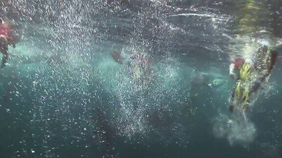 鲸鲨海和潜水员在马尔代夫清澈湛蓝的水的背景