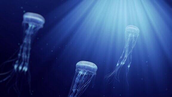 水母在深海中游动的3d动画