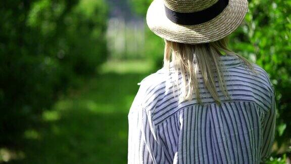 年轻女子旅行者在帽子和休闲装走在绿树和灌木丛附近的背影在暑假乡村旅游