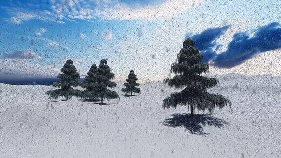 雪落在山上和松树上