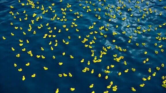 成千上万只橡皮鸭在海里3D动画