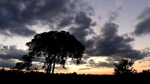 一棵大树后梦幻般美丽的日落时光流逝