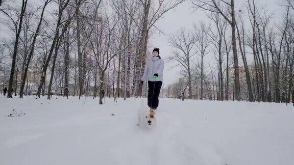 快乐的女孩带着狗在公园里奔跑温特下雪缓慢的运动
