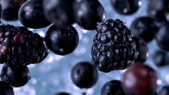 黑莓和蓝莓缓慢的运动