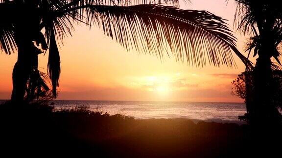 沙滩上的夕阳和棕榈树