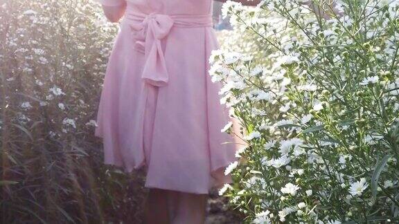 女孩在雏菊花丛中漫步