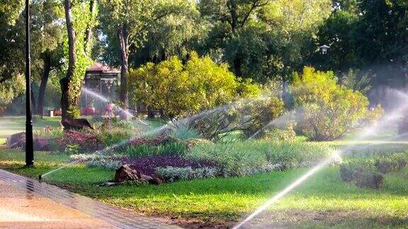 用灌水系统浇灌花草