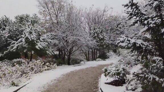 在一个初冬的暴风雪中走在瓦拉多利德的坎特拉克公园的一条土路上