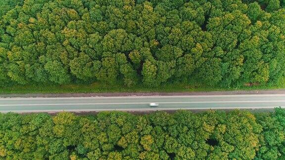 森林中高速行驶的汽车鸟瞰图4k