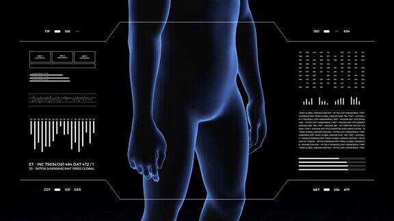 有生殖器病理的男人3d身体的男孩男性人体结构的旋转动画和特写