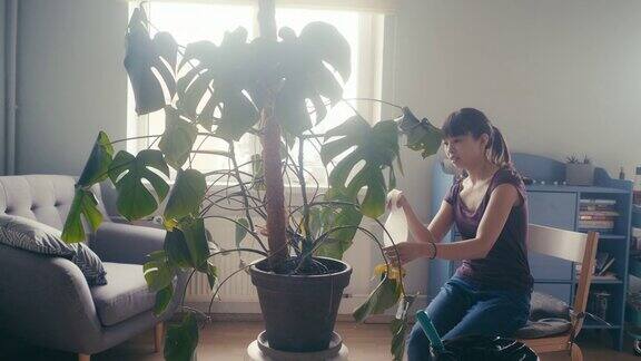 亚洲妇女在家照料植物(慢镜头)