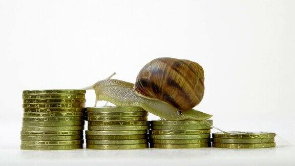 蜗牛爬在一堆硬币上