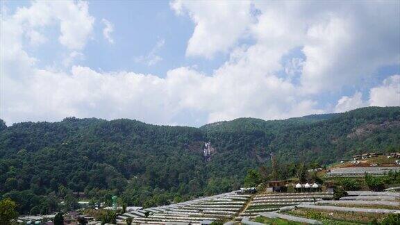 泰国山上的延时苗圃