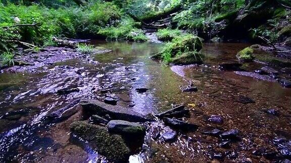 自然溪流平静放松水流淙淙