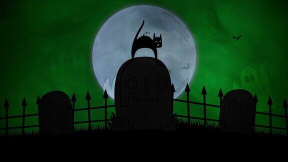 神秘的场景苍蝇鬼魂和猫在墓地