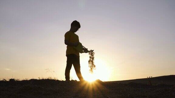 那个男孩在日落时正在给树浇水