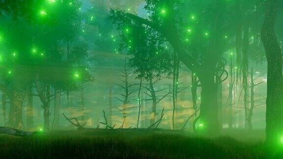 迷雾之夜的魔法森林