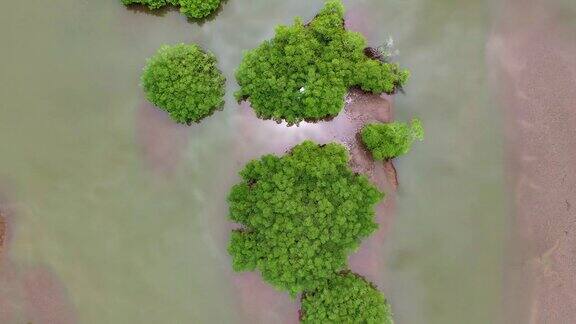 亚马逊河就在空中
